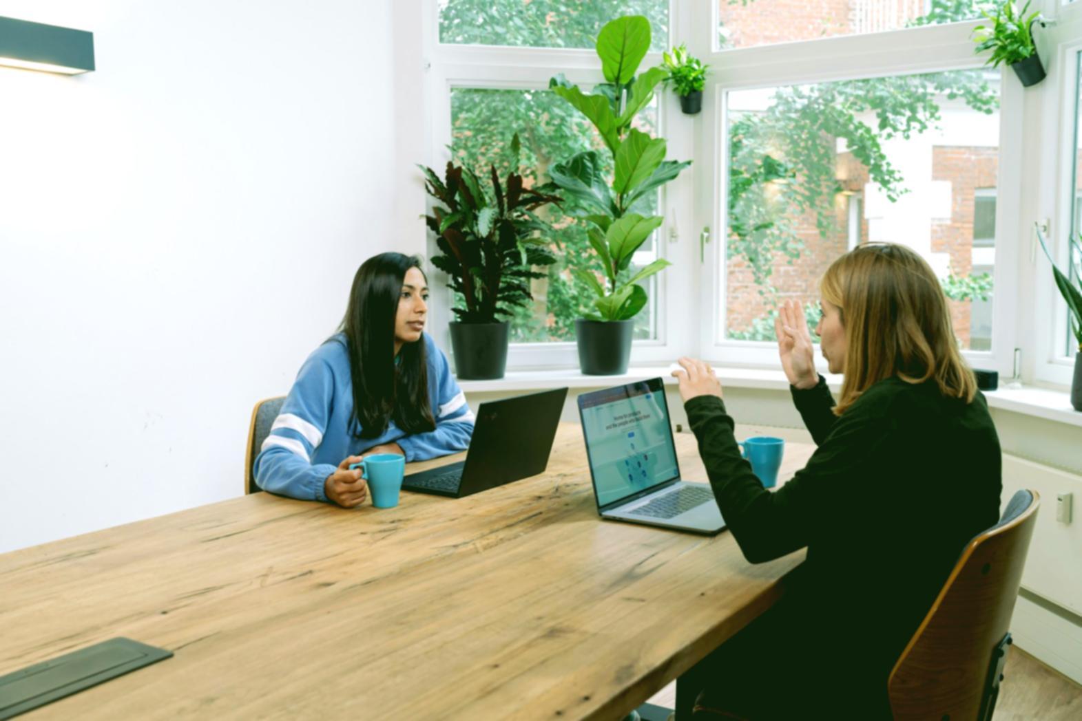 Session de séminaire en ligne sur l'audit SEO